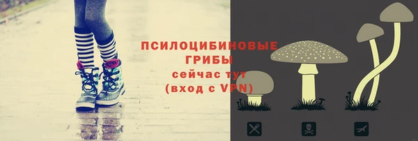 jwh Абаза
